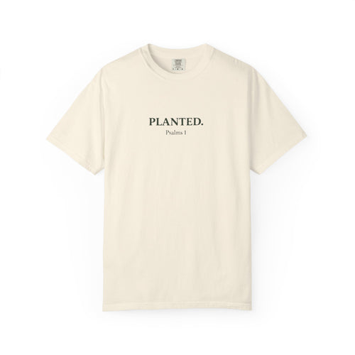 Planted. Heavy Tee - Rooted Garments
