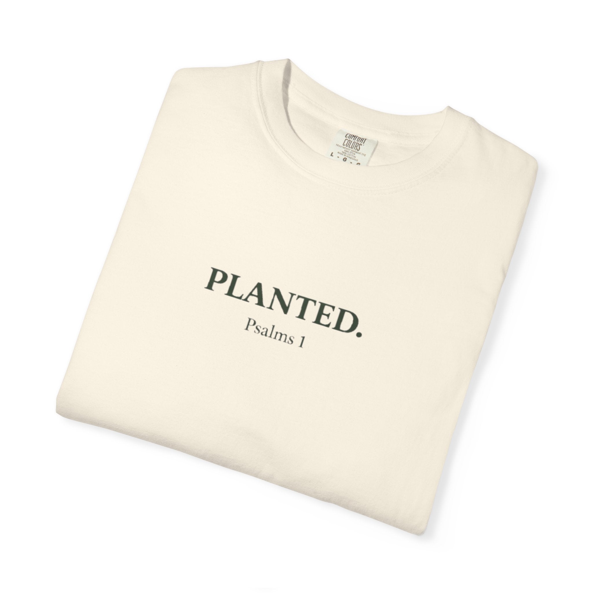 Planted. Heavy Tee - Rooted Garments