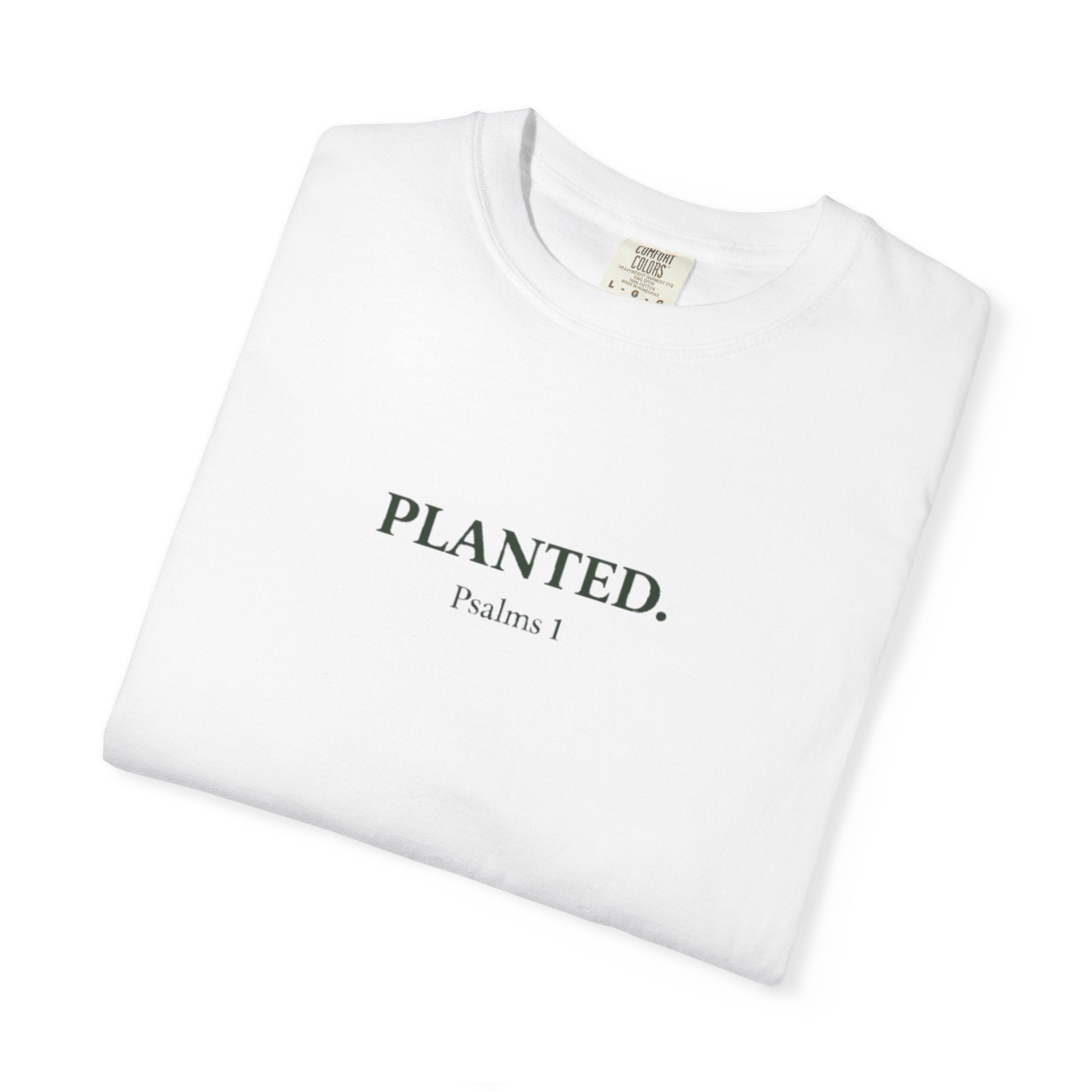 Planted. Heavy Tee - Rooted Garments